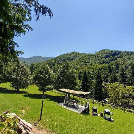 Il Bosco Di Campo Marzano Rooms & Apartments Borzonasca Екстер'єр фото
