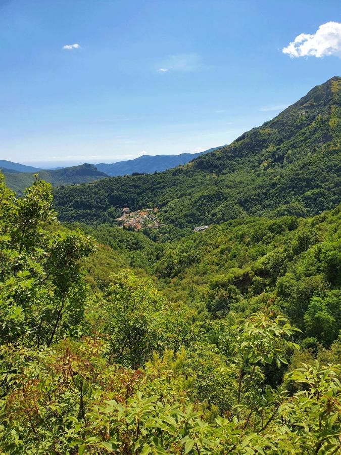 Il Bosco Di Campo Marzano Rooms & Apartments Borzonasca Екстер'єр фото