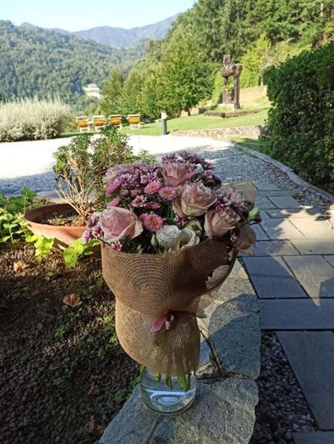 Il Bosco Di Campo Marzano Rooms & Apartments Borzonasca Екстер'єр фото