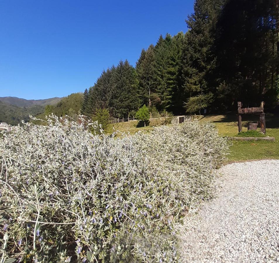 Il Bosco Di Campo Marzano Rooms & Apartments Borzonasca Екстер'єр фото