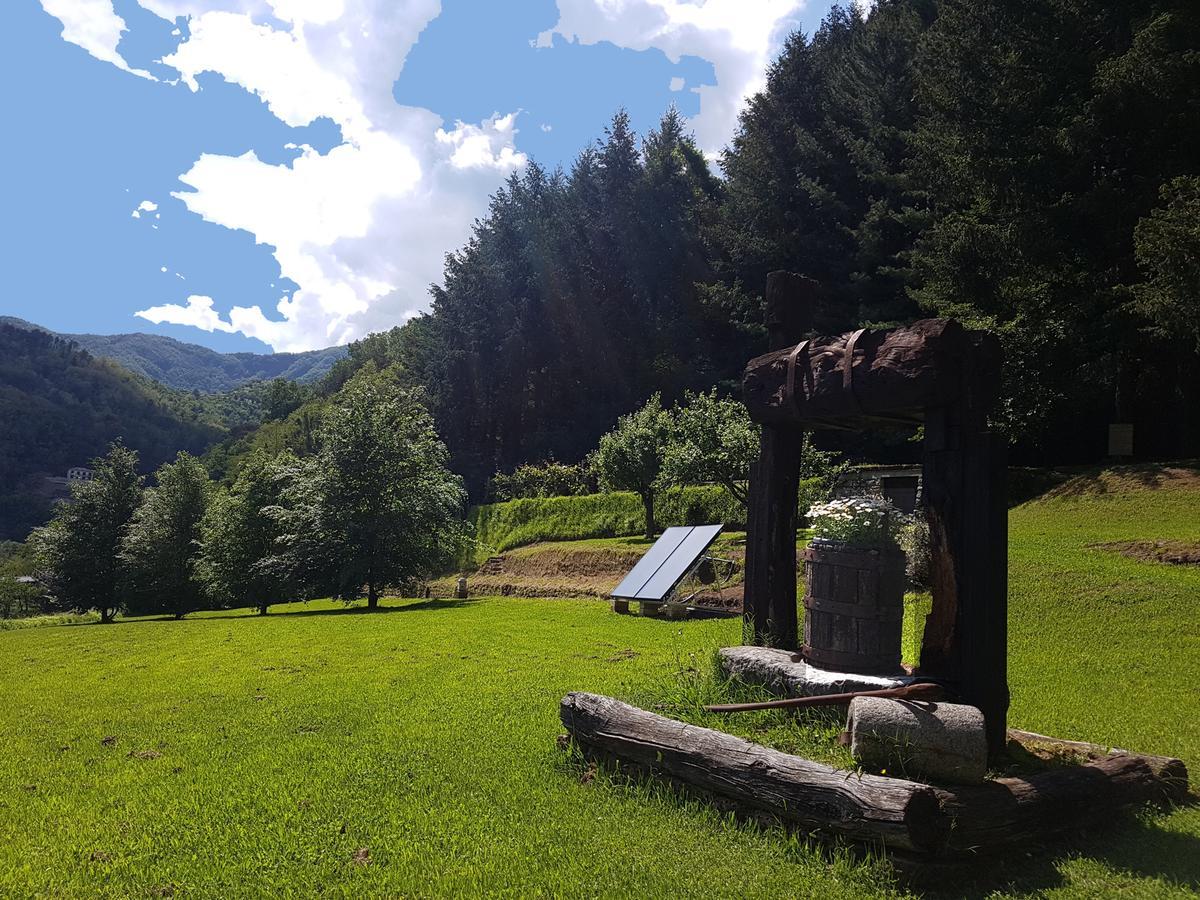 Il Bosco Di Campo Marzano Rooms & Apartments Borzonasca Екстер'єр фото