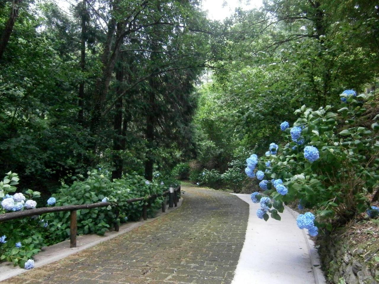 Il Bosco Di Campo Marzano Rooms & Apartments Borzonasca Екстер'єр фото