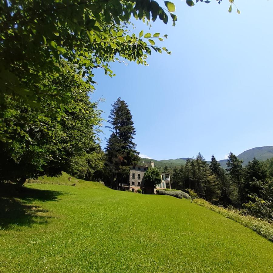 Il Bosco Di Campo Marzano Rooms & Apartments Borzonasca Екстер'єр фото